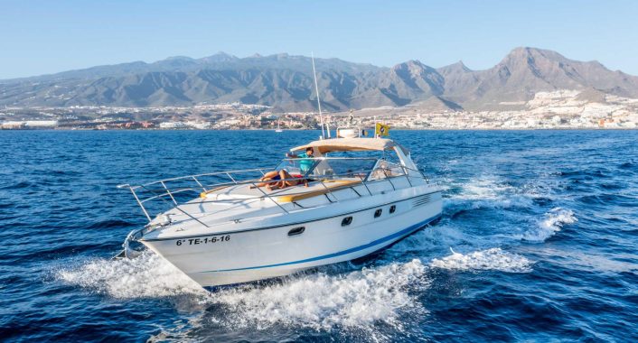 skyline cruiser tenerife , fairline 42 motor boat charter1