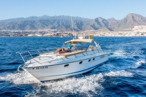 skyline cruiser tenerife , fairline 42 motor boat charter1