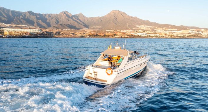 skyline cruiser tenerife , fairline 42 motor boat charter4